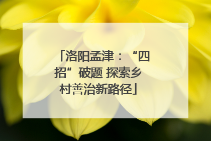 洛阳孟津：“四招”破题 探索乡村善治新路径