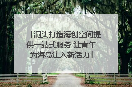 洞头打造海创空间提供一站式服务 让青年为海岛注入新活力