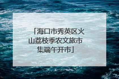 海口市秀英区火山荔枝季农文旅市集端午开市