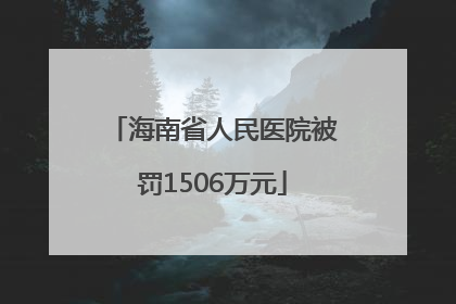 海南省人民医院被罚1506万元