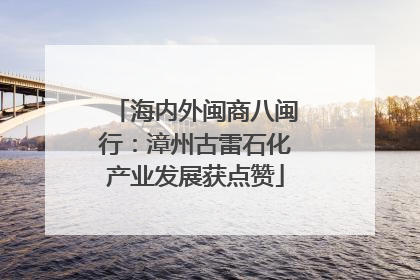 海内外闽商八闽行：漳州古雷石化产业发展获点赞
