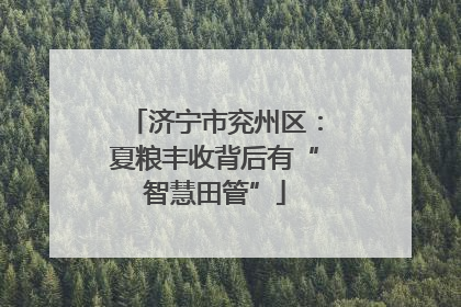 济宁市兖州区：夏粮丰收背后有“智慧田管”