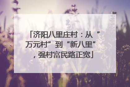 济阳八里庄村：从“万元村”到“新八里”，强村富民路正宽