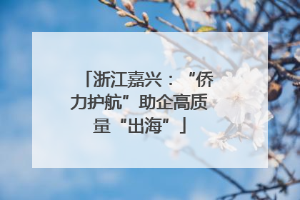 浙江嘉兴：“侨力护航”助企高质量“出海”