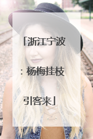 浙江宁波：杨梅挂枝引客来