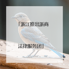浙江推出浙商法律服务团