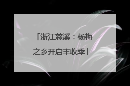 浙江慈溪：杨梅之乡开启丰收季