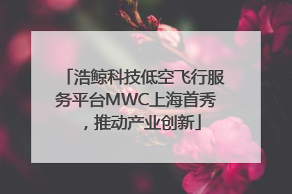 浩鲸科技低空飞行服务平台MWC上海首秀，推动产业创新
