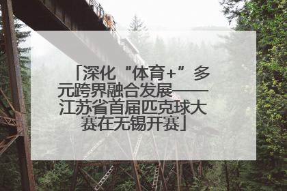 深化“体育+”多元跨界融合发展——江苏省首届匹克球大赛在无锡开赛