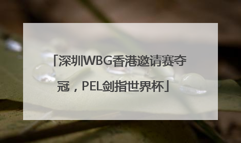 深圳WBG香港邀请赛夺冠，PEL剑指世界杯