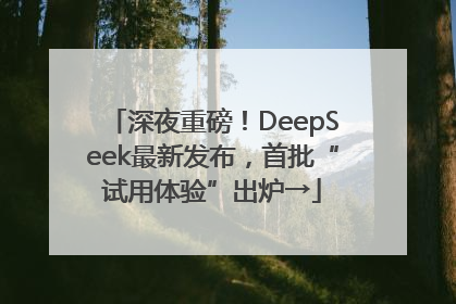 深夜重磅！DeepSeek最新发布，首批“试用体验”出炉→