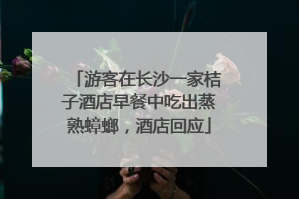 游客在长沙一家桔子酒店早餐中吃出蒸熟蟑螂，酒店回应
