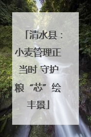 清水县：小麦管理正当时 守护粮“芯”绘丰景