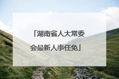 湖南省人大常委会最新人事任免