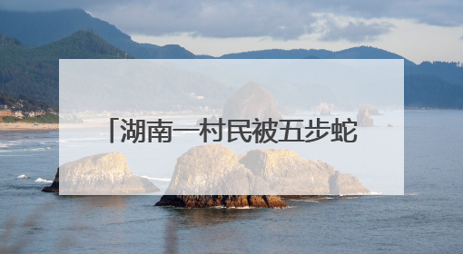 湖南一村民被五步蛇咬伤！交警26分钟冲破64公里生死线，医生：再晚20分钟或将呼吸肌麻痹
