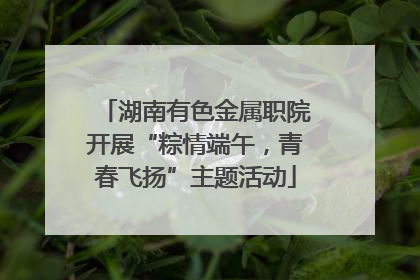 湖南有色金属职院开展“粽情端午，青春飞扬”主题活动