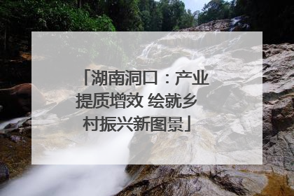 湖南洞口：产业提质增效 绘就乡村振兴新图景