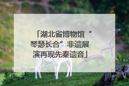 湖北省博物馆“琴瑟长合”非遗展演再现先秦遗音
