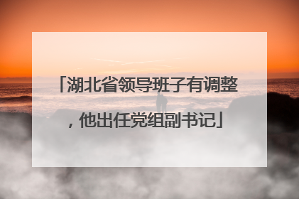 湖北省领导班子有调整，他出任党组副书记