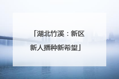 湖北竹溪：新区新人播种新希望