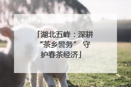 湖北五峰：深耕“茶乡警务” 守护春茶经济