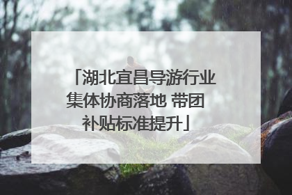 湖北宜昌导游行业集体协商落地 带团补贴标准提升