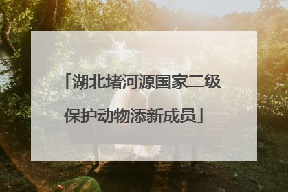湖北堵河源国家二级保护动物添新成员
