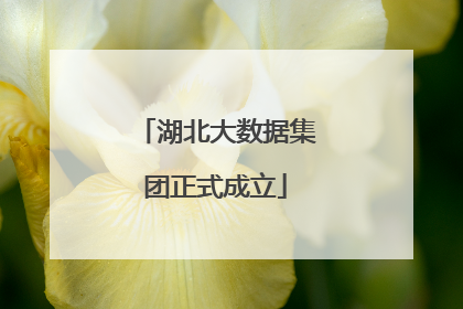 湖北大数据集团正式成立