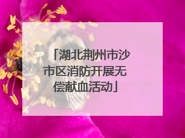 湖北荆州市沙市区消防开展无偿献血活动
