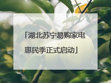 湖北苏宁易购家电惠民季正式启动