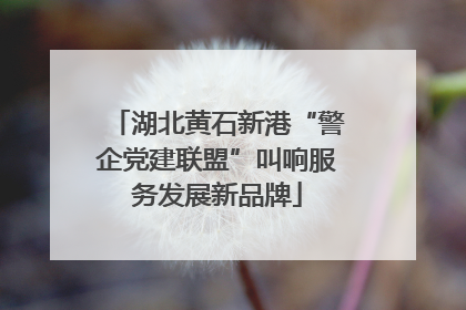 湖北黄石新港“警企党建联盟”叫响服务发展新品牌