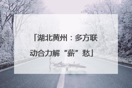 湖北黄州：多方联动合力解“薪”愁