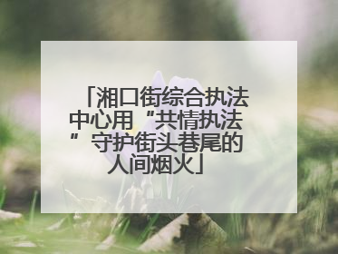 湘口街综合执法中心用“共情执法”守护街头巷尾的人间烟火