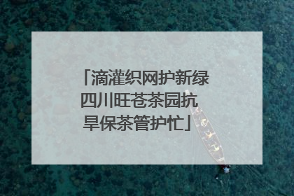 滴灌织网护新绿 四川旺苍茶园抗旱保茶管护忙