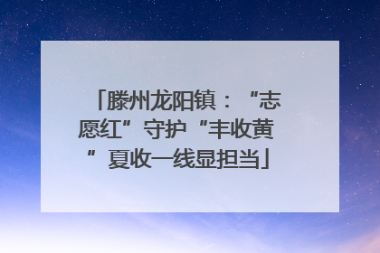 滕州龙阳镇：“志愿红”守护“丰收黄”夏收一线显担当