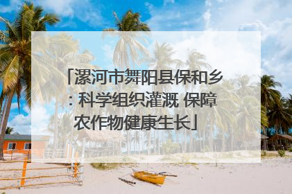 漯河市舞阳县保和乡：科学组织灌溉 保障农作物健康生长