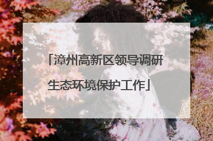 漳州高新区领导调研生态环境保护工作