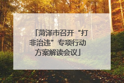 菏泽市召开“打非治违”专项行动方案解读会议