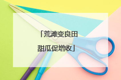 荒滩变良田 甜瓜促增收