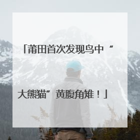 莆田首次发现鸟中“大熊猫”黄腹角雉！
