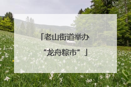老山街道举办“龙舟粽市”