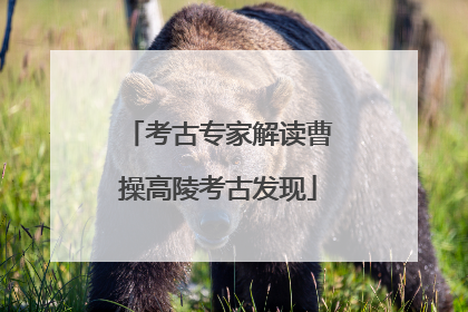 考古专家解读曹操高陵考古发现