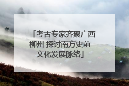 考古专家齐聚广西柳州 探讨南方史前文化发展脉络