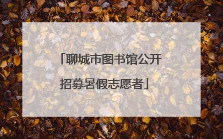 聊城市图书馆公开招募暑假志愿者