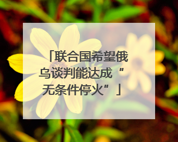 联合国希望俄乌谈判能达成“无条件停火”