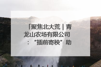 聚焦北大荒｜青龙山农场有限公司：“插前寄秧”助力农业节本增效