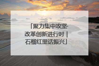 聚力集中攻坚·改革创新进行时｜石榴红里话振兴