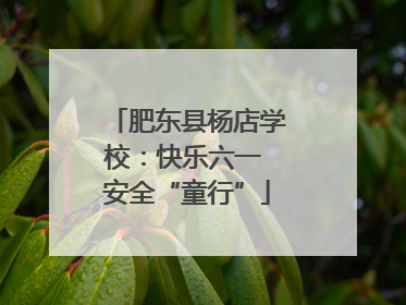 肥东县杨店学校：快乐六一 安全“童行”