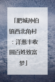 肥城孙伯镇西北角村：洋葱丰收圆百姓致富梦