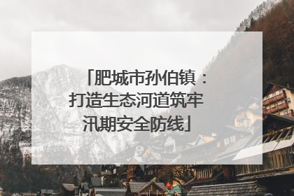 肥城市孙伯镇：打造生态河道筑牢汛期安全防线